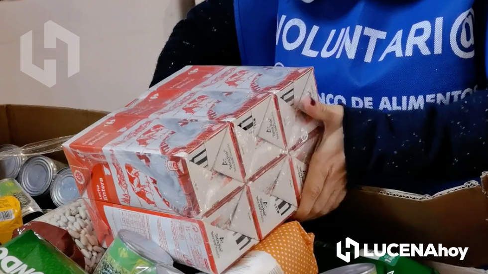  Una voluntaria del Banco de Alimentos recoge un paquete de leche. Archivo 