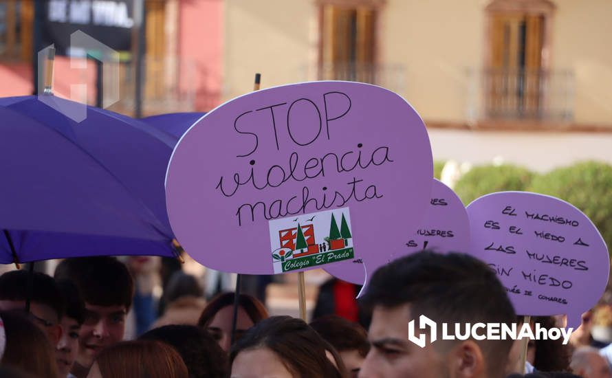 Una imagen del acto central de la celebración del 25N el pasado año