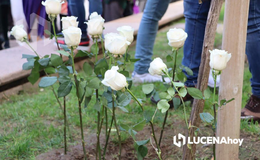 GALERÍA / 25N: Rosas blancas y mensajes escolares para decir un "no" rotundo a la violencia de género en Lucena