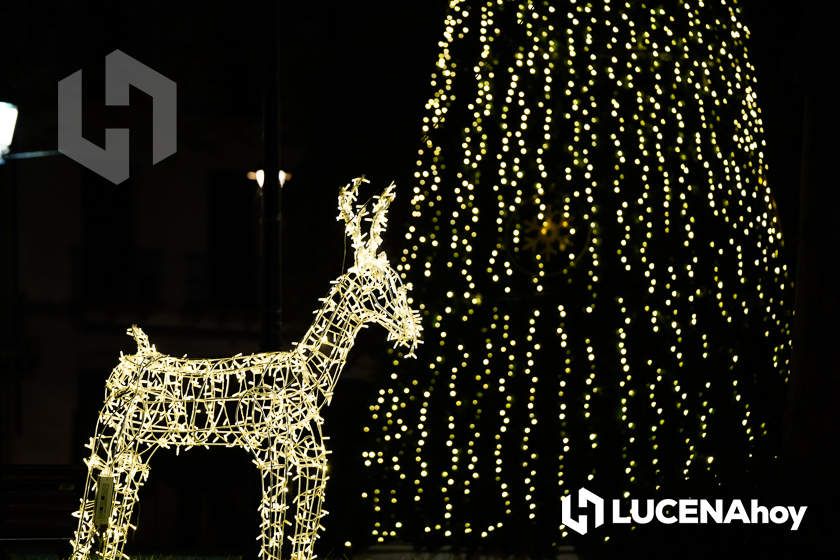 GALERÍA: Las luces de la Navidad son ya protagonistas en las calles y plazas de Lucena tras la inauguración por villancicos del Poblado de Belén
