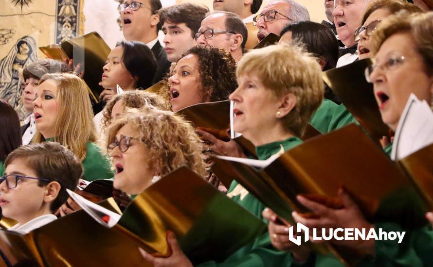 GALERÍA: La Coral Lucentina y la Orquesta y Coro del Conservatorio Profesional 'Maestro Chicano Muñoz' deslumbran con su concierto de Navidad GALERÍA: La Coral Lucentina y la Orquesta y Coro del Conservatorio Profesional 'Maestro Chicano Muñoz' deslumbran con su concierto de Navidad