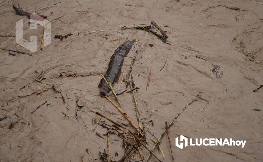 GALERÍA: Los 15 litros por metro cuadrado que ha dejado el intenso aguacero de esta tarde ocasionan grandes embolsamientos de agua y cortes de tráfico en distintos puntos de la ciudad GALERÍA: Los 15 litros por metro cuadrado que ha dejado el intenso aguacero de esta tarde ocasionan grandes embolsamientos de agua y cortes de tráfico en distintos puntos de la ciudad