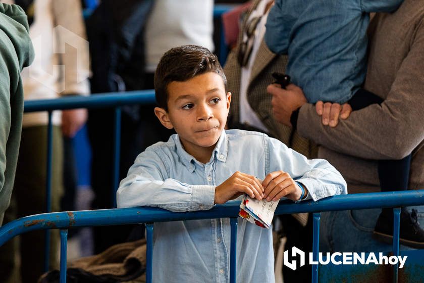 GALERÍA: Miles de niños entregan a los Mensajeros Reales sus cartas para los Reyes Magos GALERÍA: Miles de niños entregan a los Mensajeros Reales sus cartas para los Reyes Magos