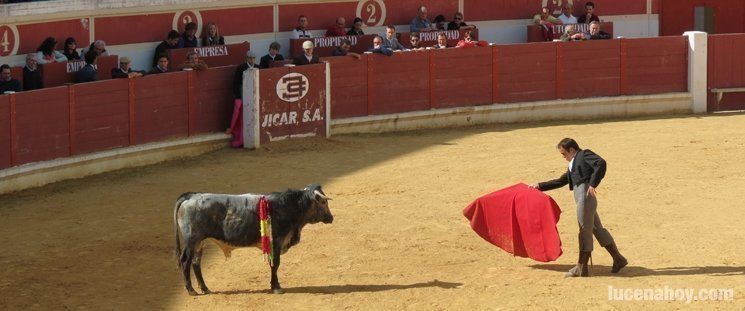  La Escuela Taurina de Lucena cierra curso con un festejo en clase práctica 