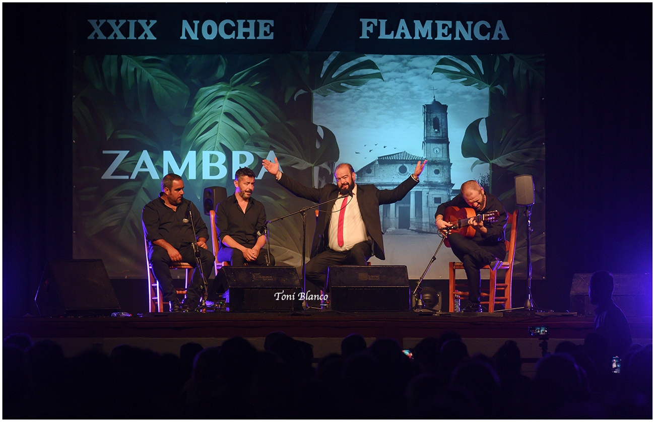 XXIX Noche Flamenca de Zambra