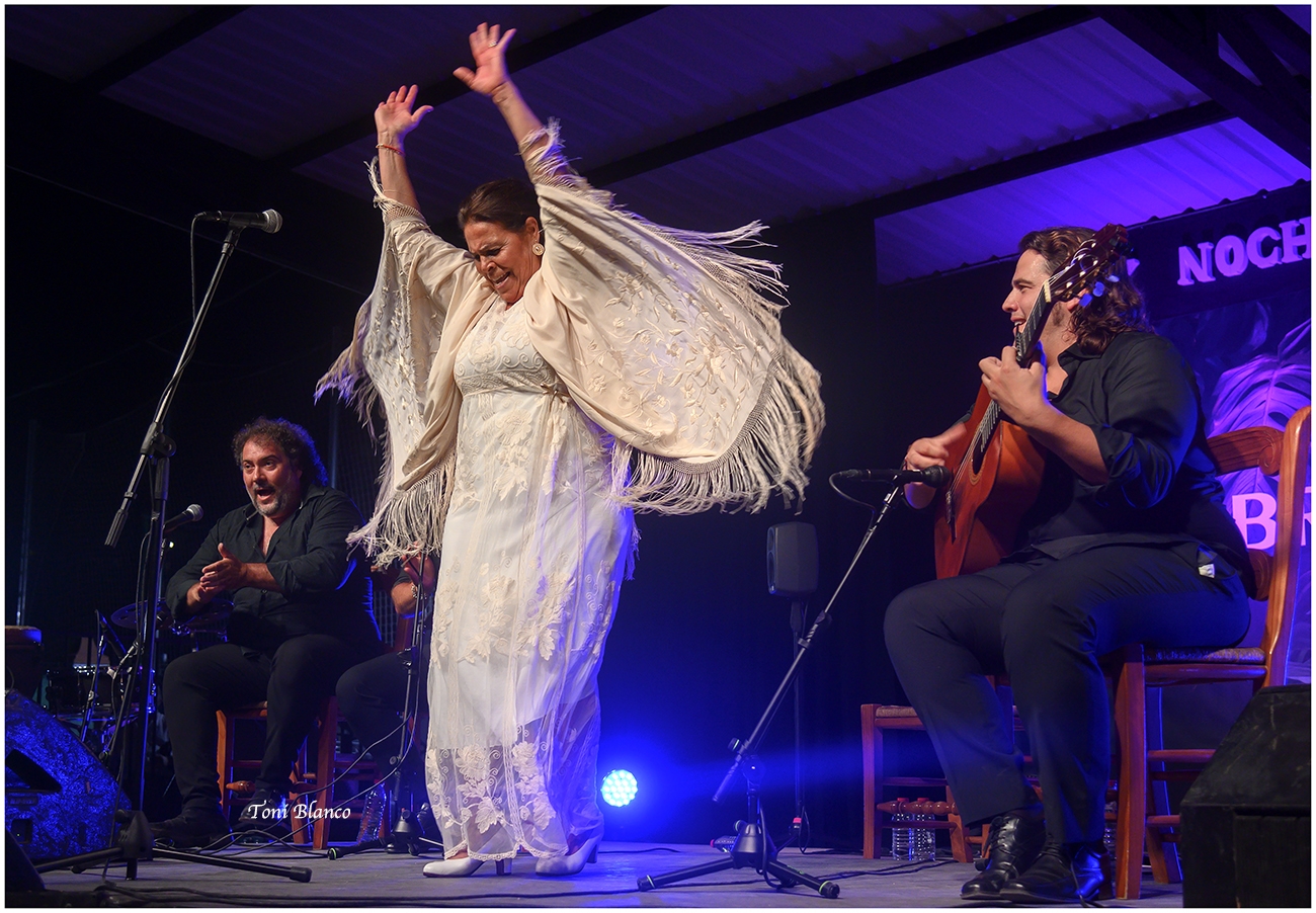 XXIX Noche Flamenca de Zambra