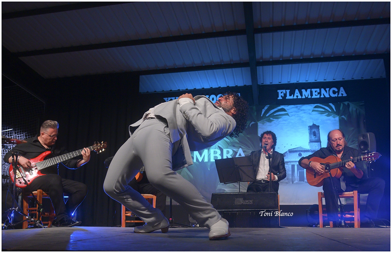 XXIX Noche Flamenca de Zambra