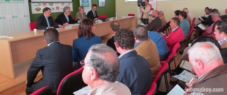  200 agricultores en las Jornadas del Olivar de Asaja, centradas en la nueva PAC 