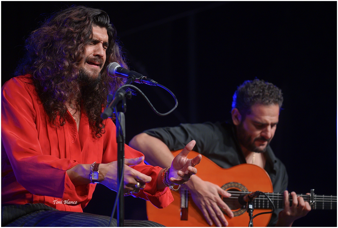 XXIX Noche Flamenca de Zambra