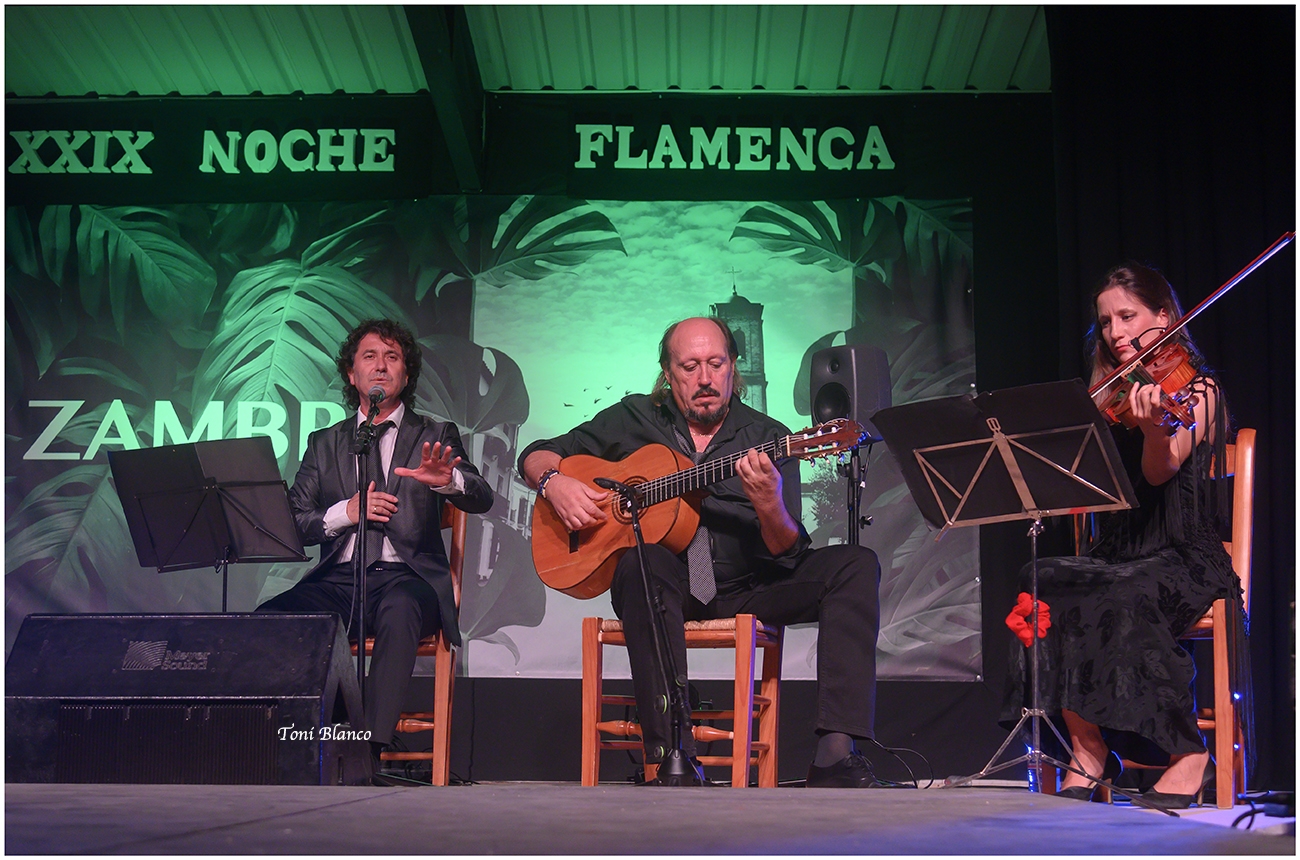 XXIX Noche Flamenca de Zambra
