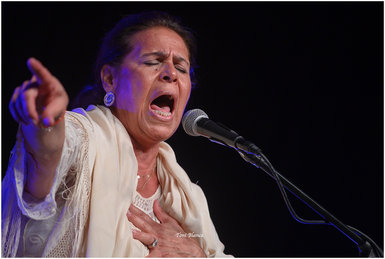 XXIX Noche Flamenca de Zambra