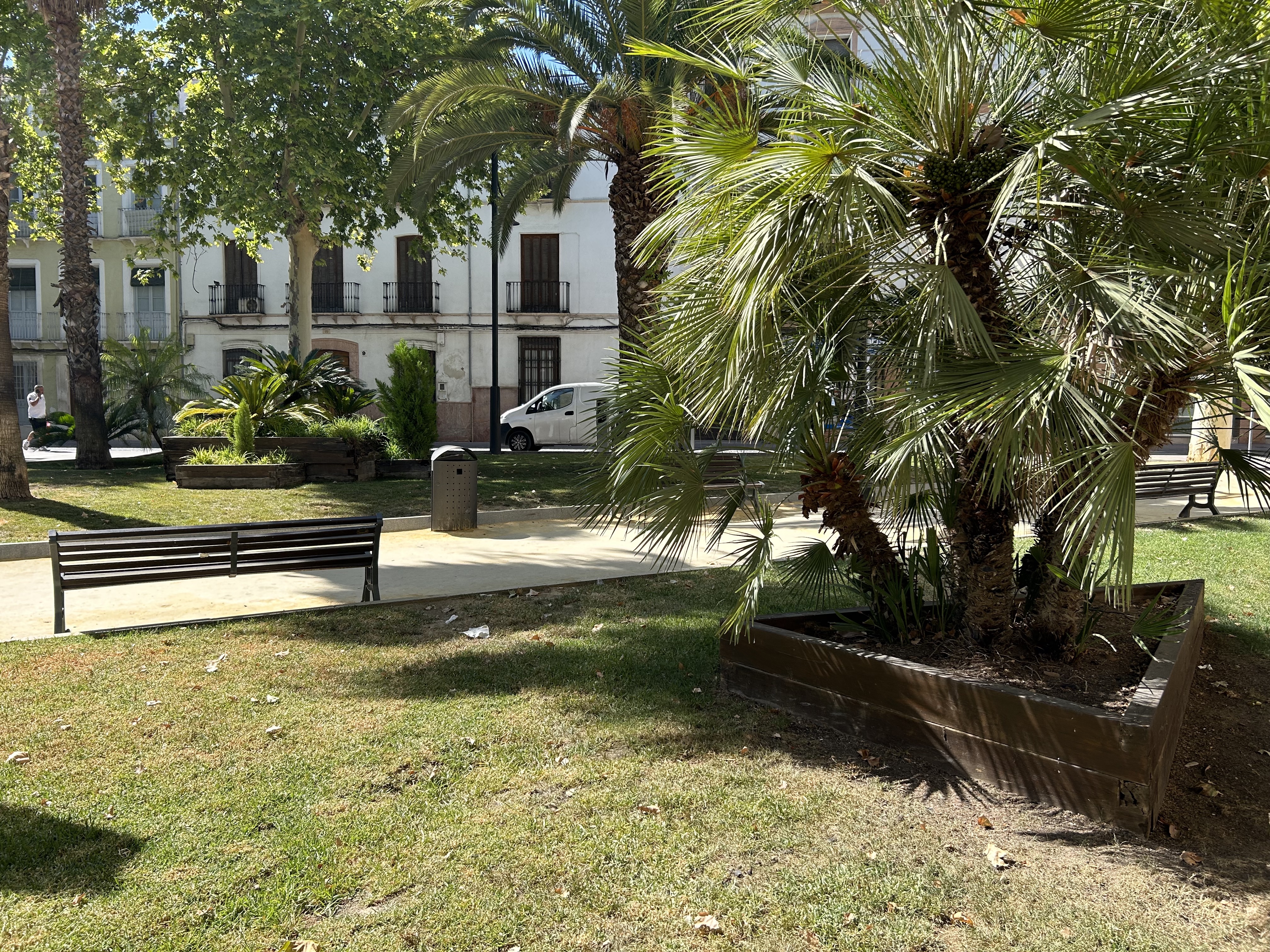 Zona ajardinada en el Paseo del Coso de Lucena