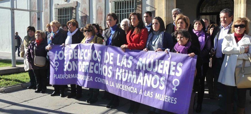  Diputación: Un pleno extraordinario conmemora el Día Internacional contra la violencia de género 