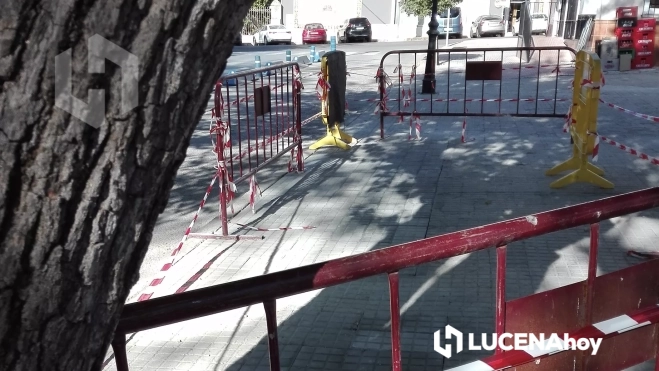 El alcorque, ya tapado con losas, de uno de los últimos árboles de este acerado El alcorque, ya tapado con losas, de uno de los últimos árboles de este acerado