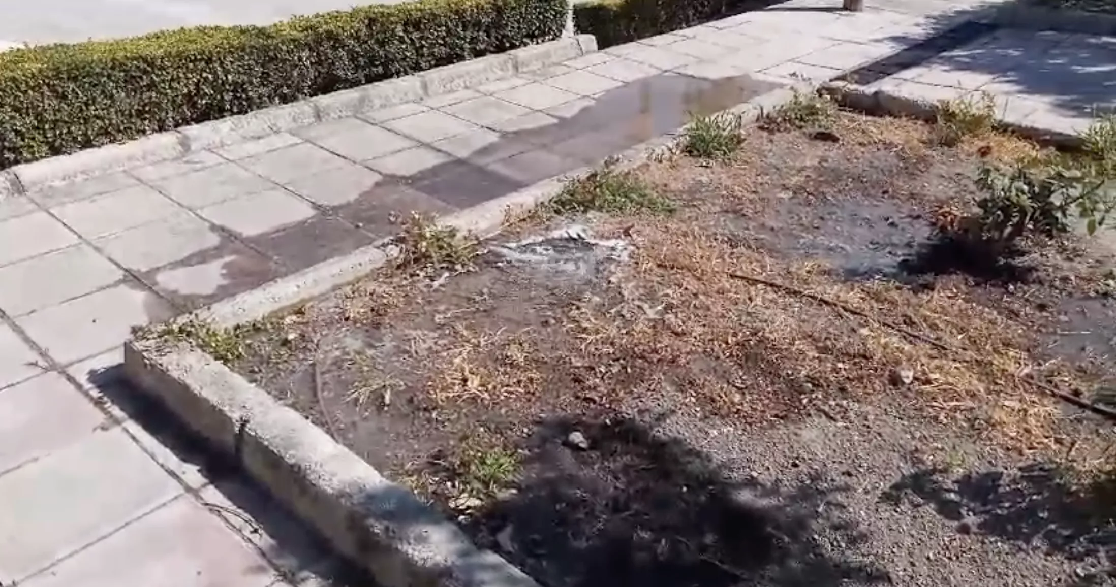 El agua fluye en un punto del jardín, prácticamente seco.