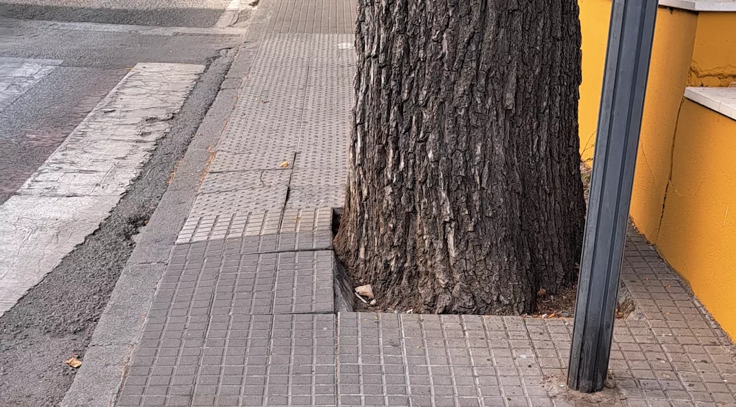 Aceras "estrechísimas" en la avenida del Parque ¿Quién pasa por aquí? 