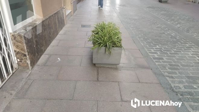 Maceteros en el centro de la ciudad, reduciendo considerablemente la anchura del acerado