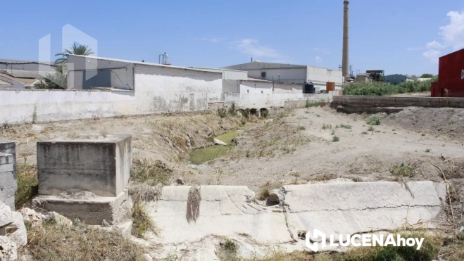 Actuación de limpieza del río Lucena en la zona del Puente de Cabra