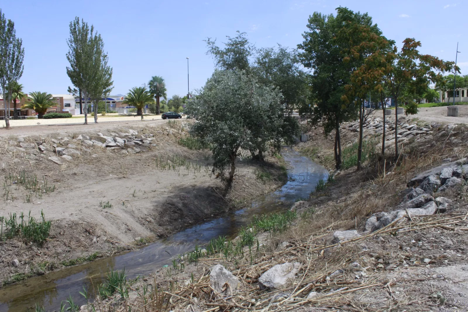 Actuación de limpieza del río Lucena en la zona del Puente de Córdoba