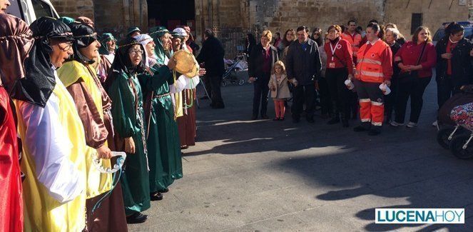  Varios colectivos se suman con Cruz Roja a la celebración del "Día de la Banderita" 