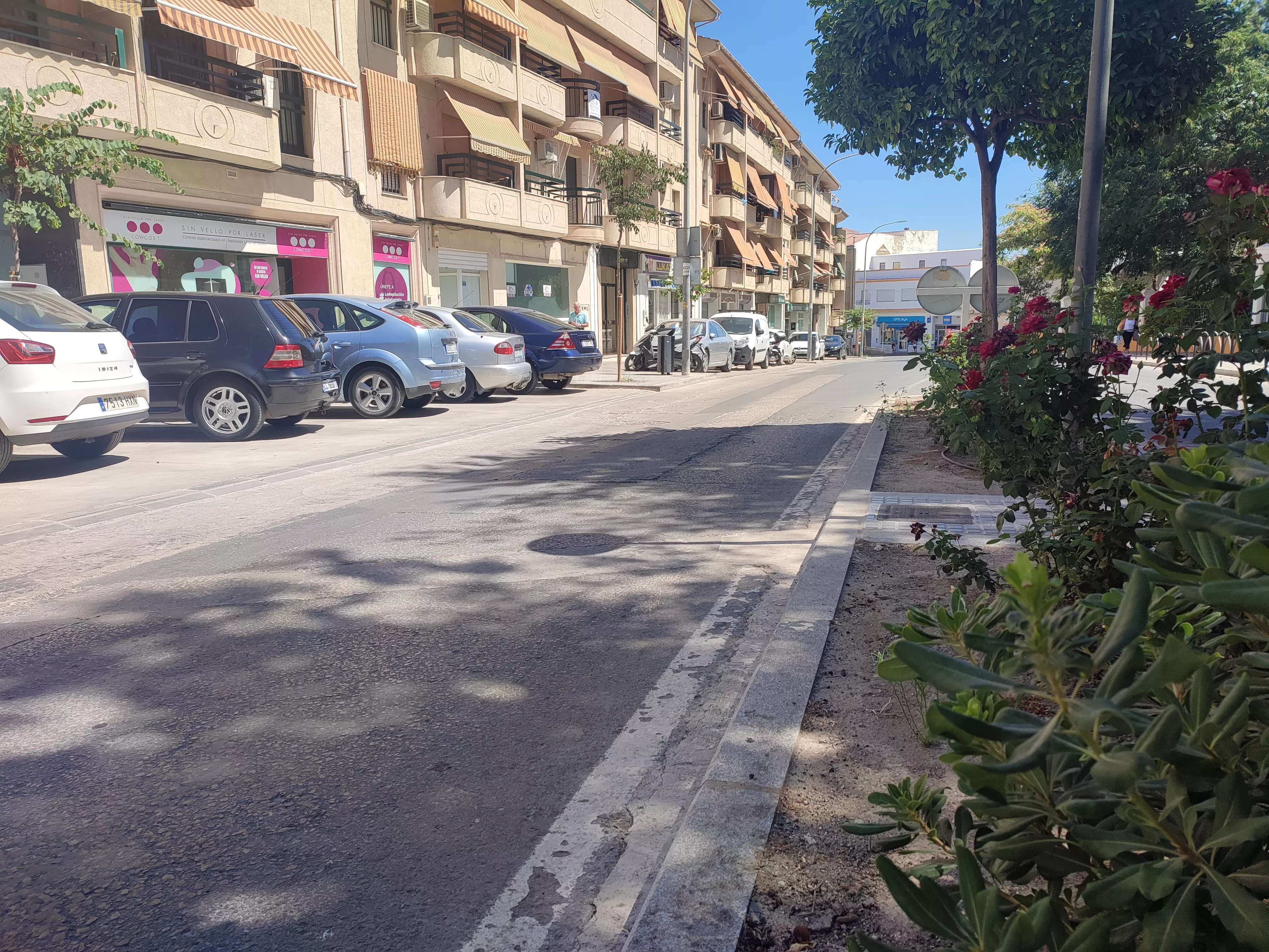 Tramo de la calle en el que está previsto actuar