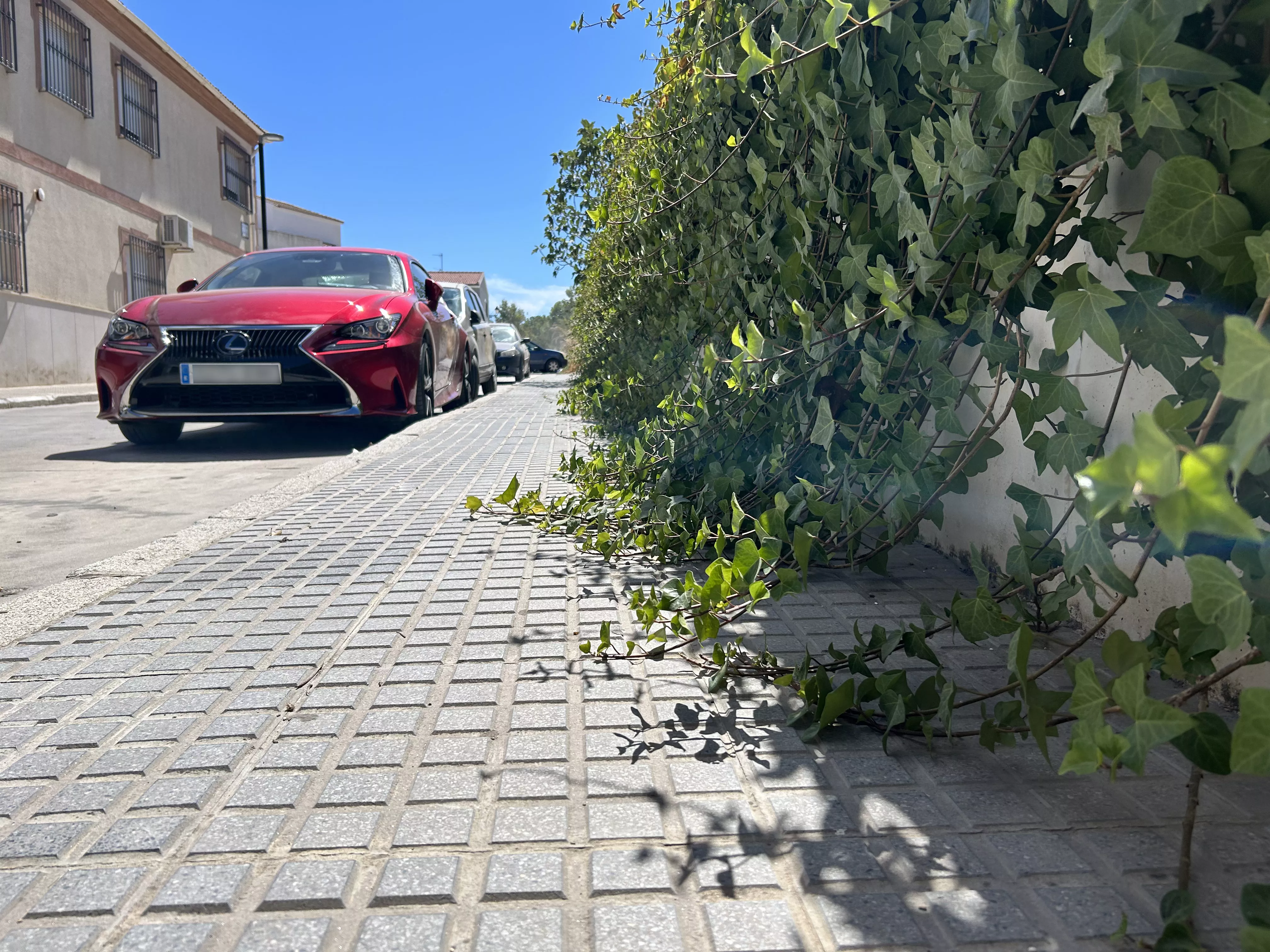 Los vecinos señalan que las plantas ocupan ya buena parte de la acera en la calle Arcas
