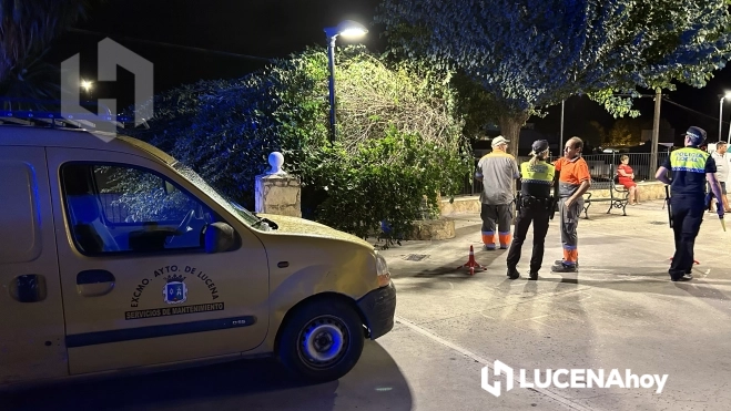 Servicios operativos y policía local en la explanada de la ermita de Las Navas, donde cayó parte de un árbol