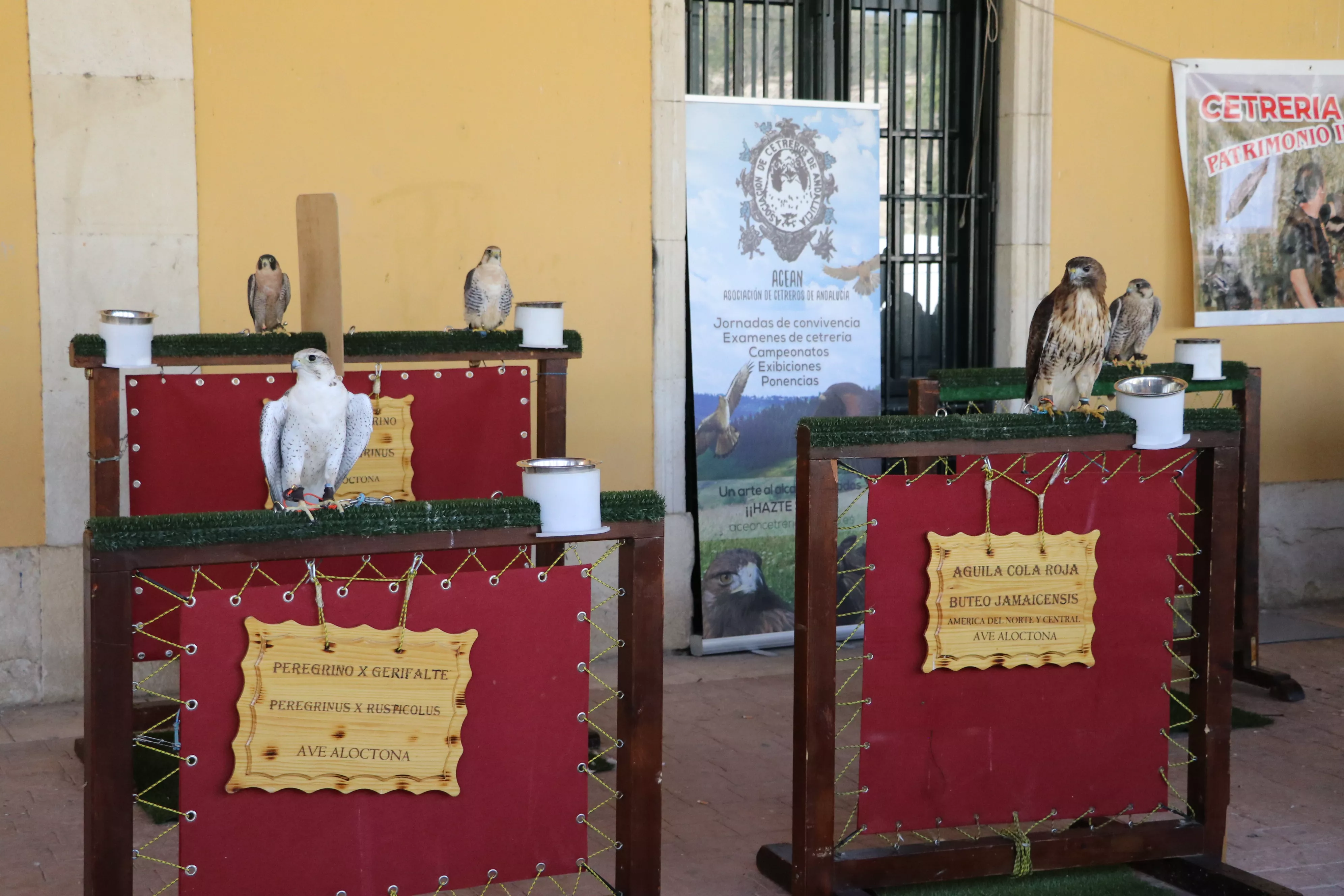 Feria del Ganado Tradicional de Lucena