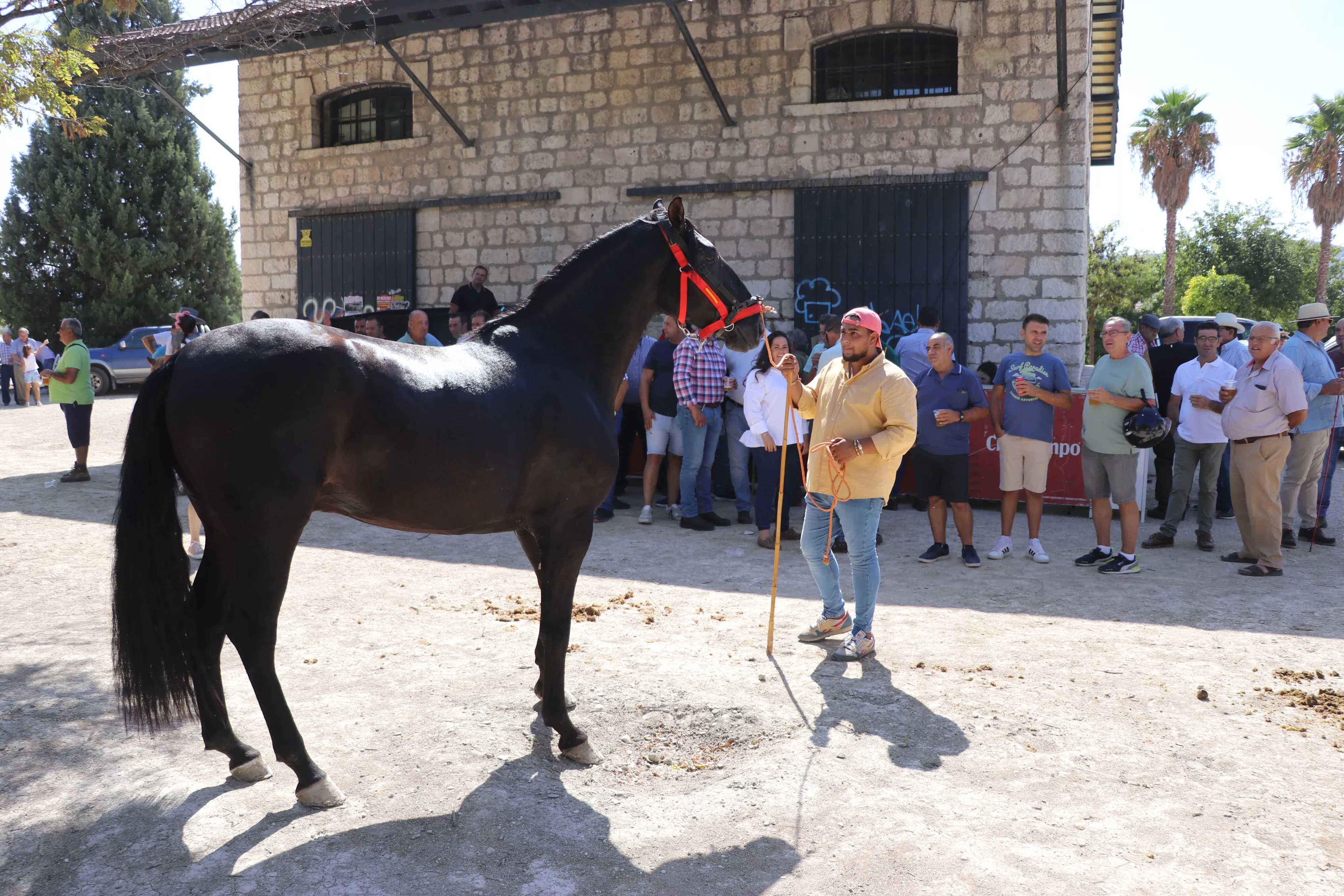 Feria del Ganado Tradicional de Lucena