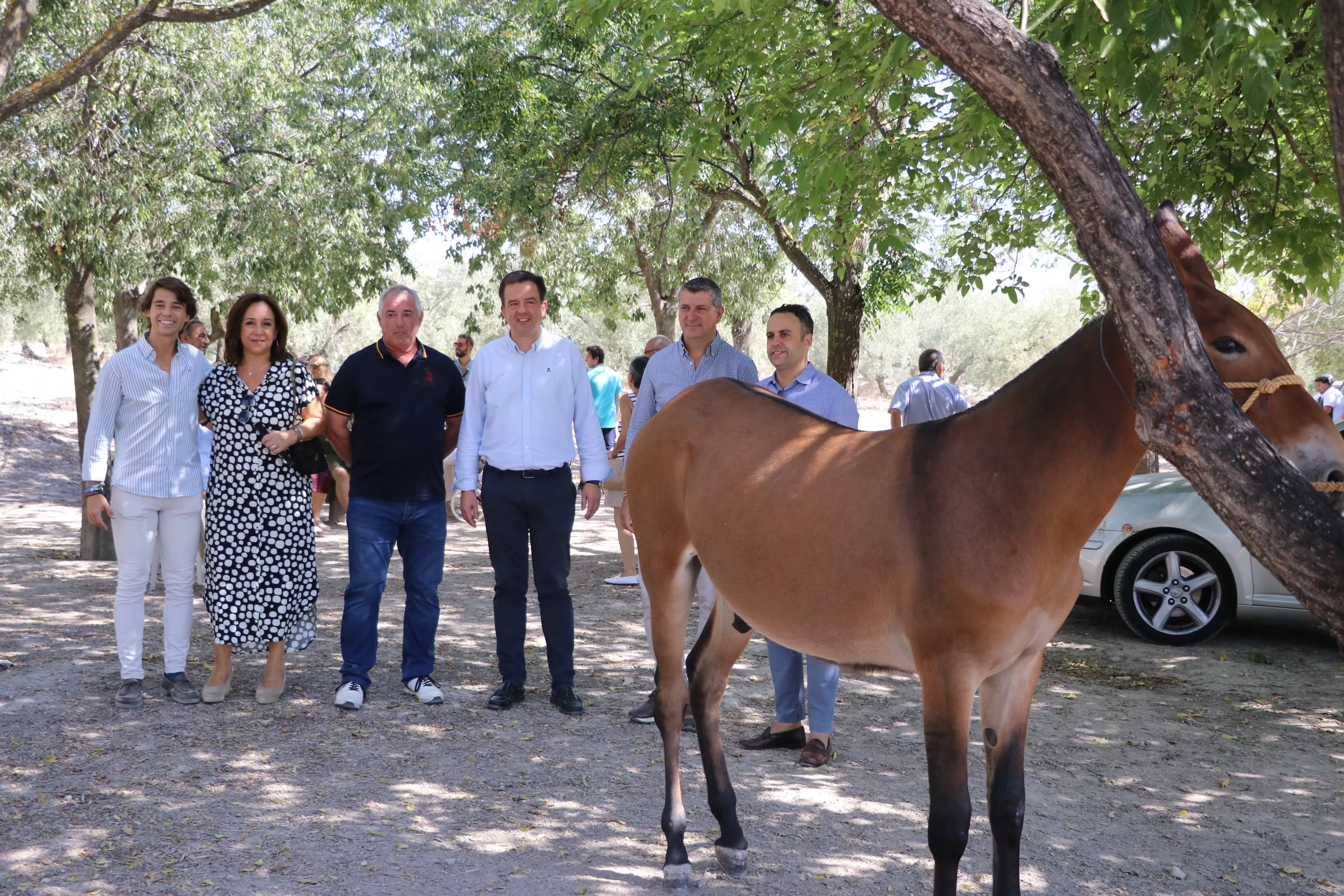 Feria del Ganado Tradicional de Lucena