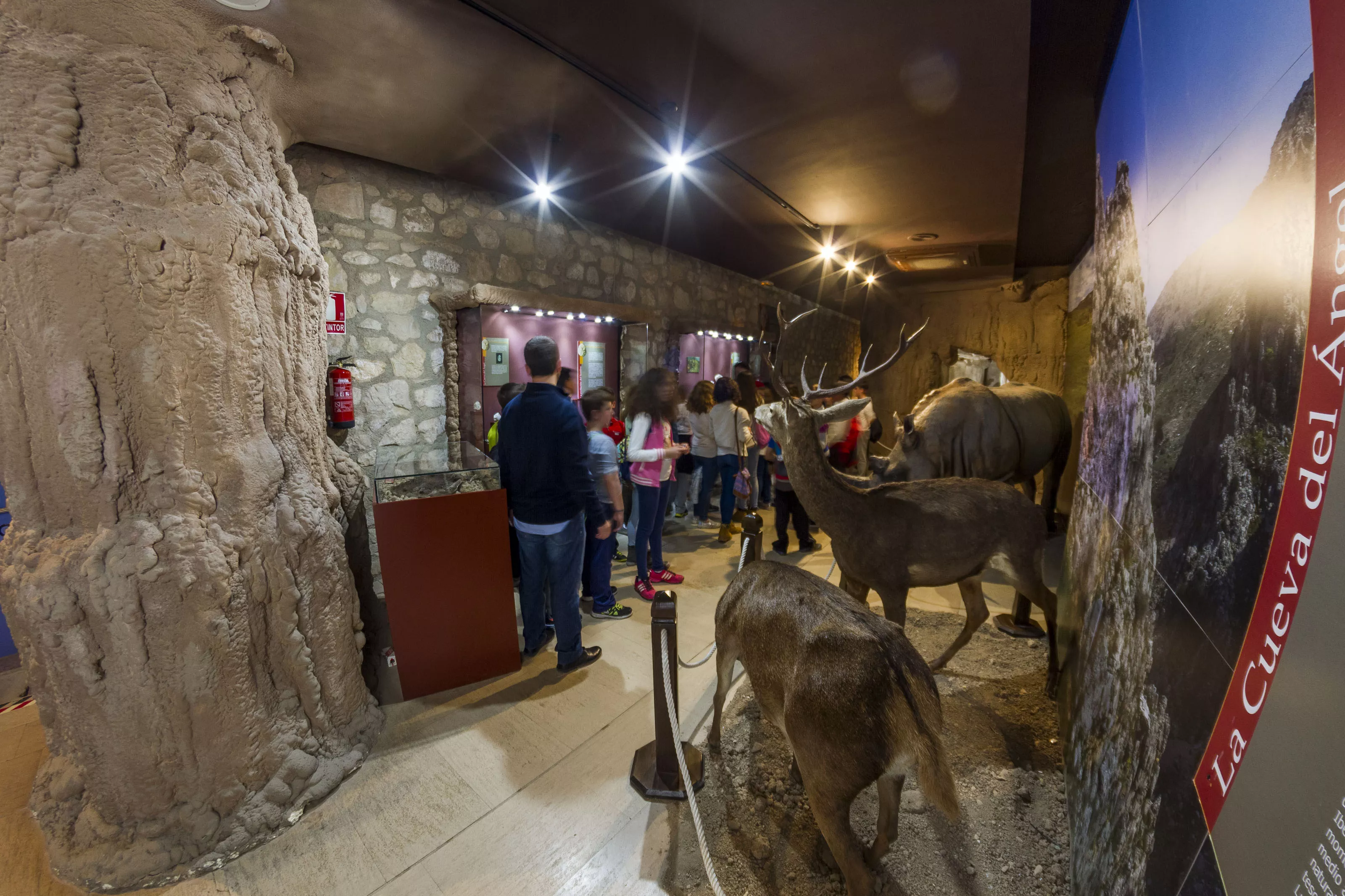 Una imagen del Museo Arqueológico de Lucena, integrado en esta asociación