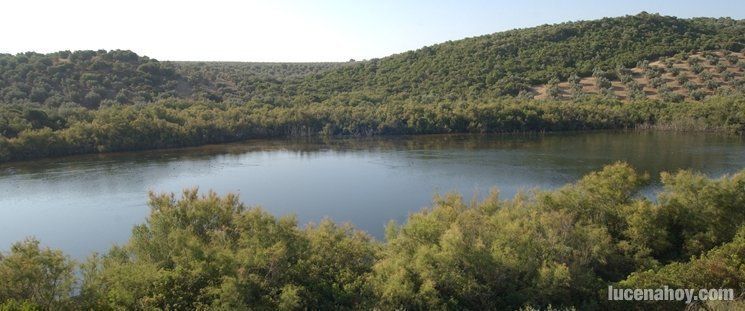 La Junta incluirá dos nuevas lagunas de Lucena entre los humedales protegidos de Andalucía 