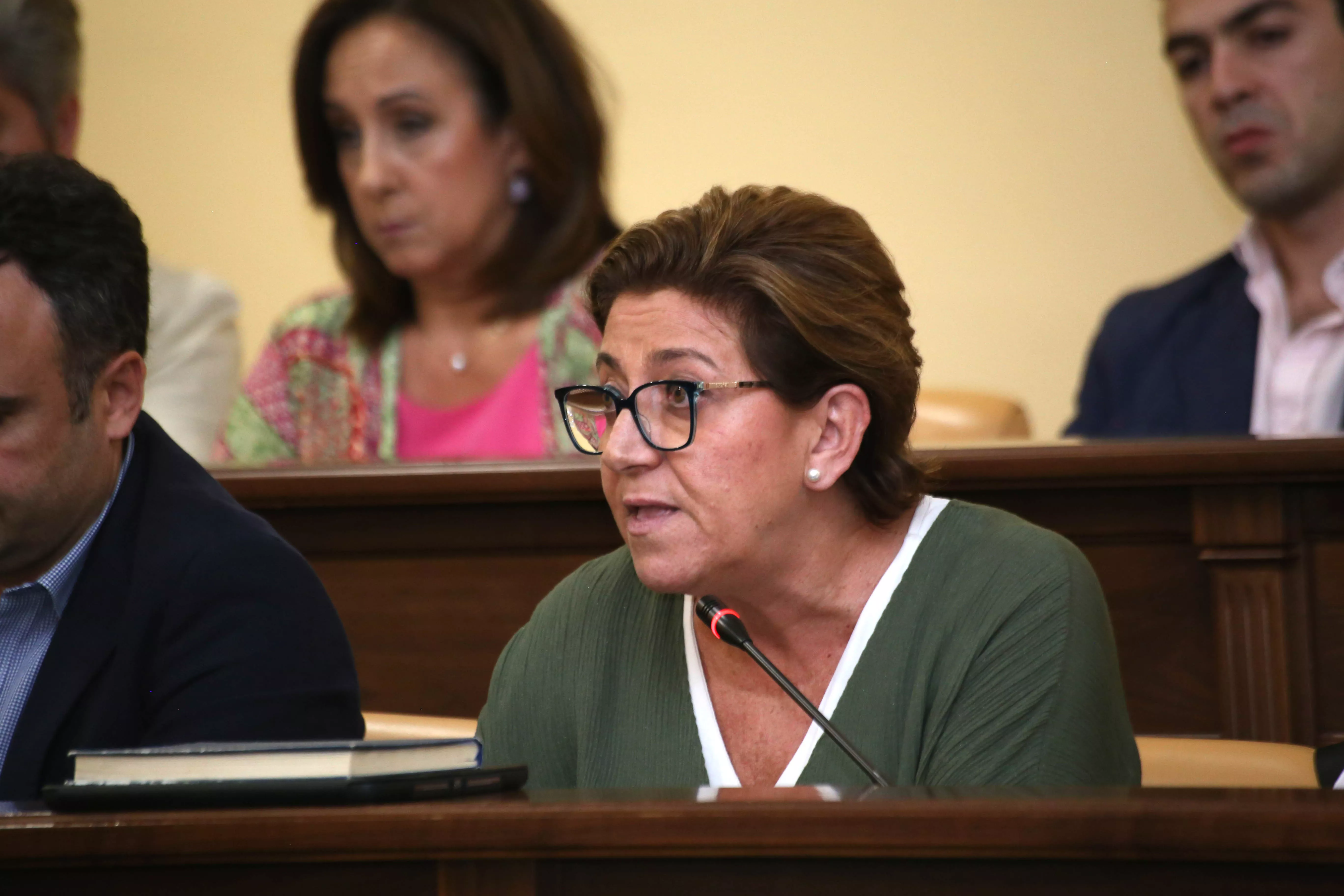 Charo Valverde, concejala de Medio Ambiente en una imagen de un pleno municipal