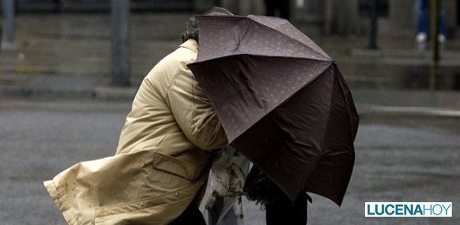  El temporal de agua y viento pasa por Lucena sin dejar daños reseñables 