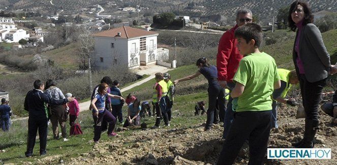  Priego: Los escolares de las aldeas repueblan una zona de bancales, junto al parque de Buenavista 