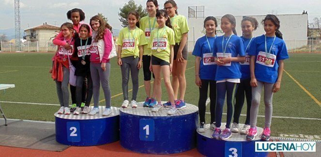  El PDM fomenta el deporte base con las XVII Olimpiadas Escolares de Primaria (fotos) 