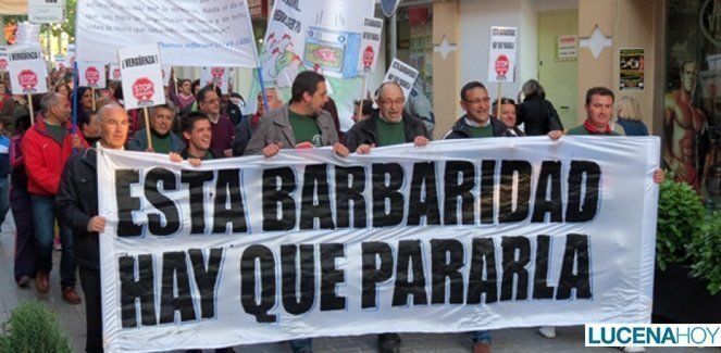  Stop Desahucios Lucena convoca una manifestación por los derechos básicos de los ciudadanos 