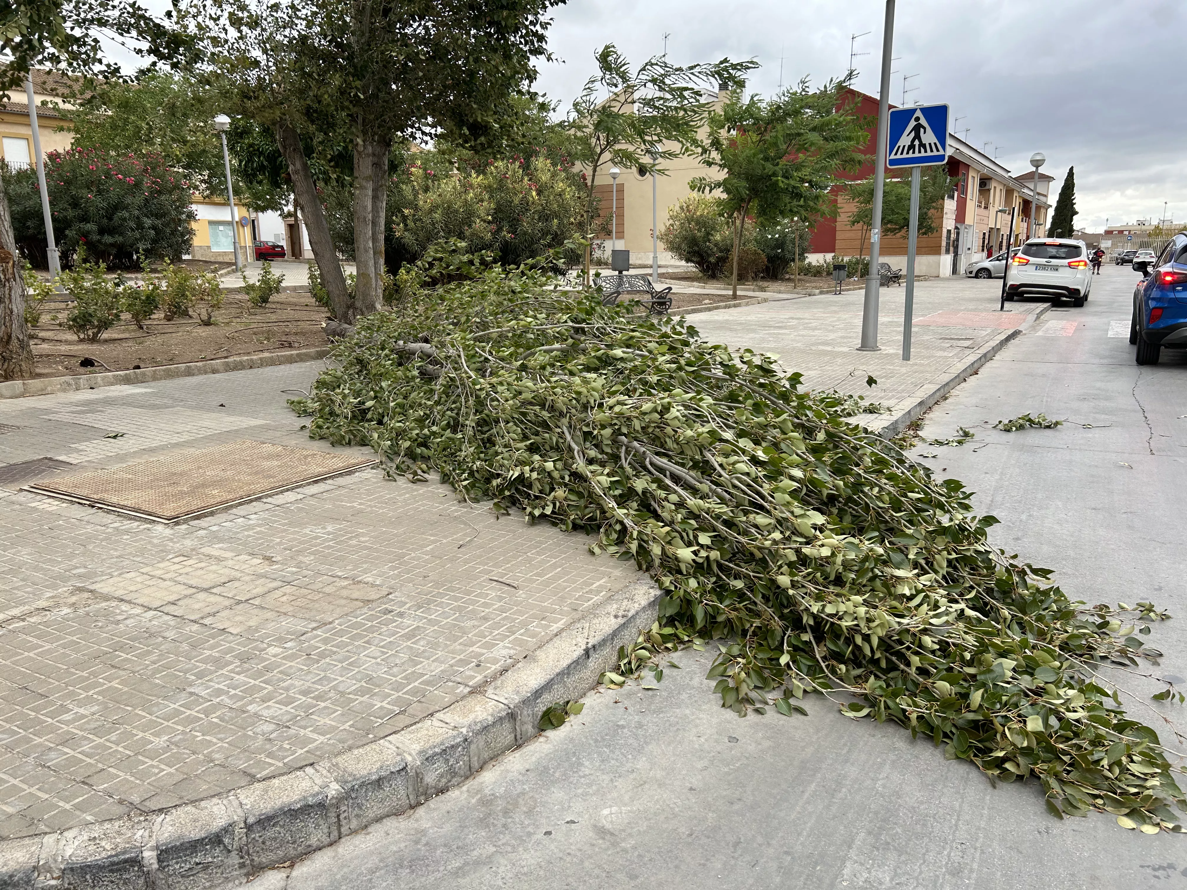 Incidencias del temporal de viento en Lucena Incidencias del temporal de viento en Lucena