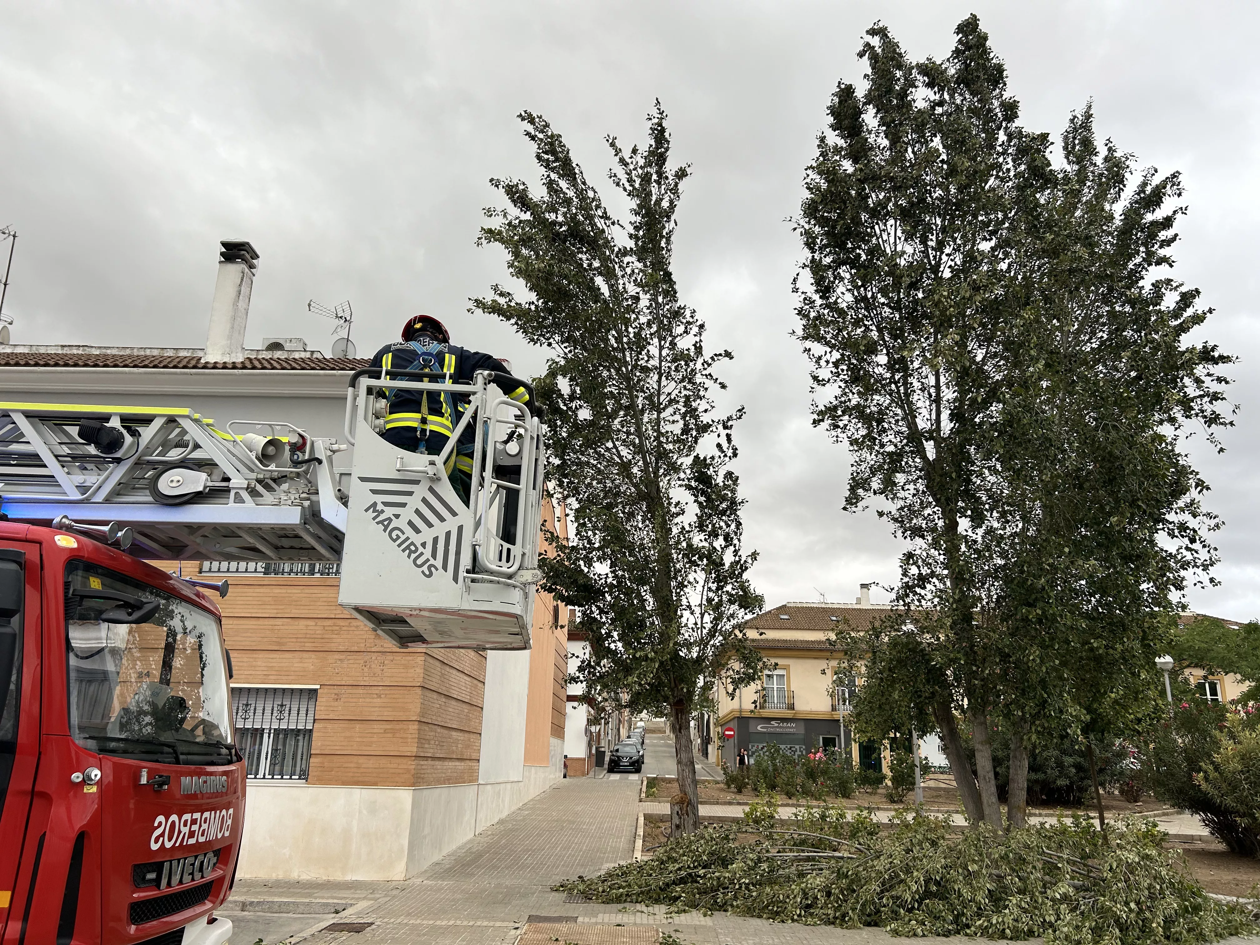 Incidencias del temporal de viento en Lucena Incidencias del temporal de viento en Lucena