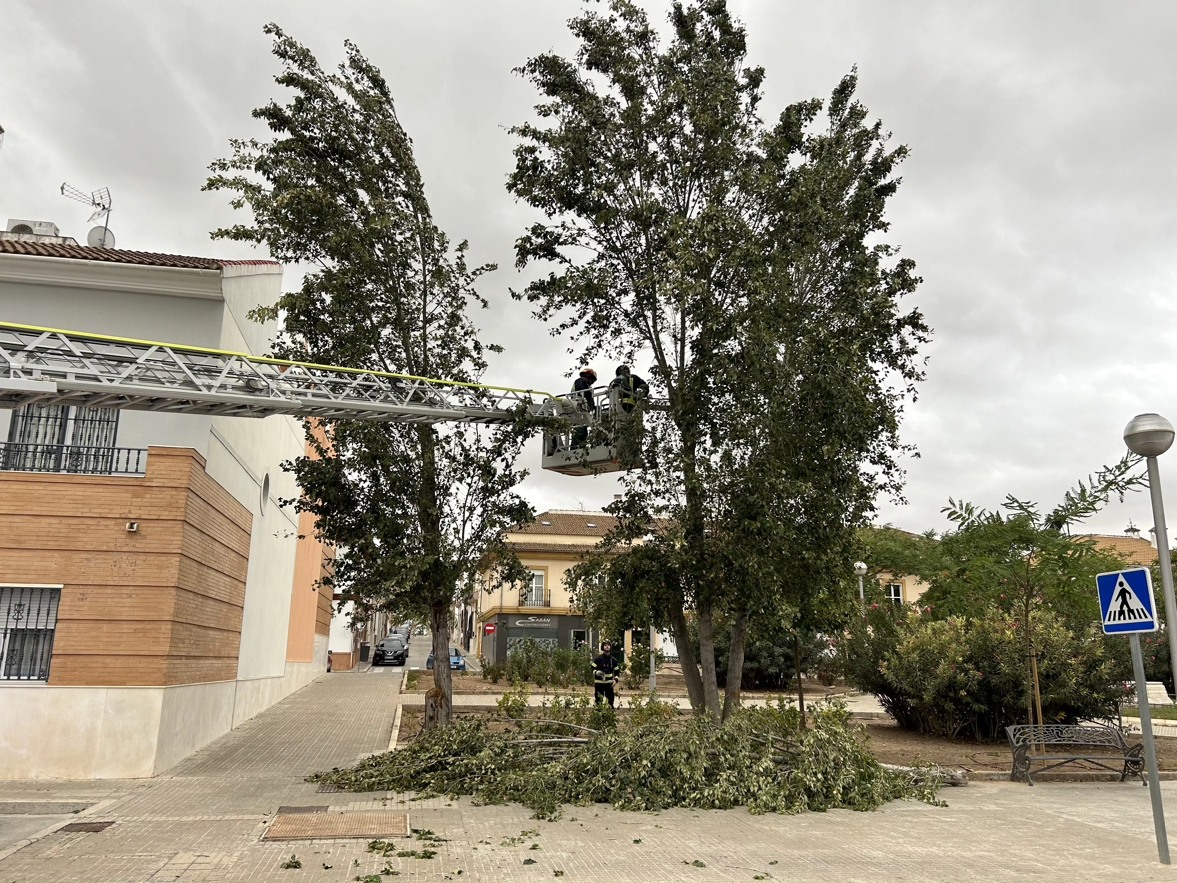Incidencias del temporal de viento en Lucena Incidencias del temporal de viento en Lucena