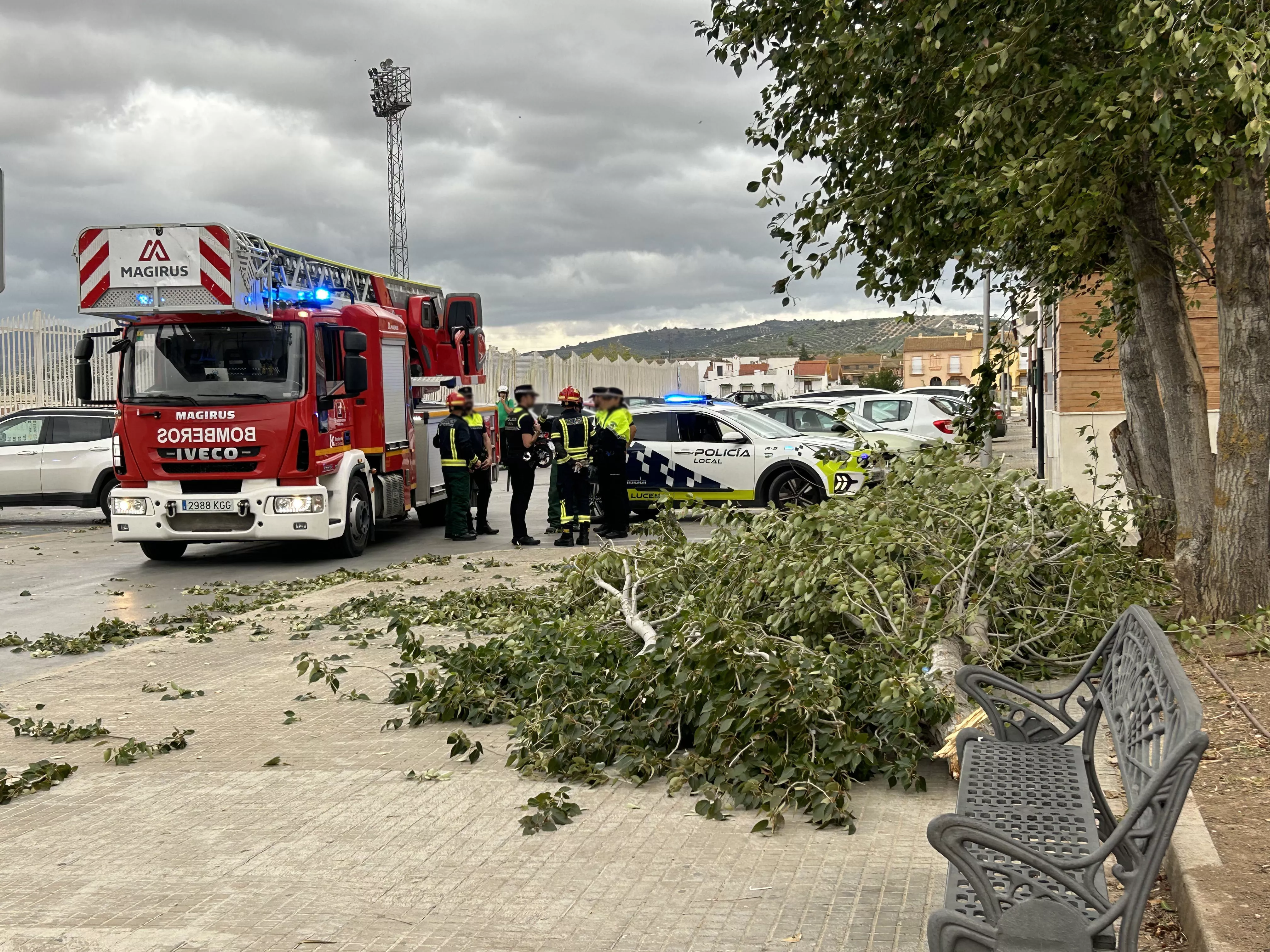 Incidencias del temporal de viento en Lucena esta misma semana Incidencias del temporal de viento en Lucena esta misma semana