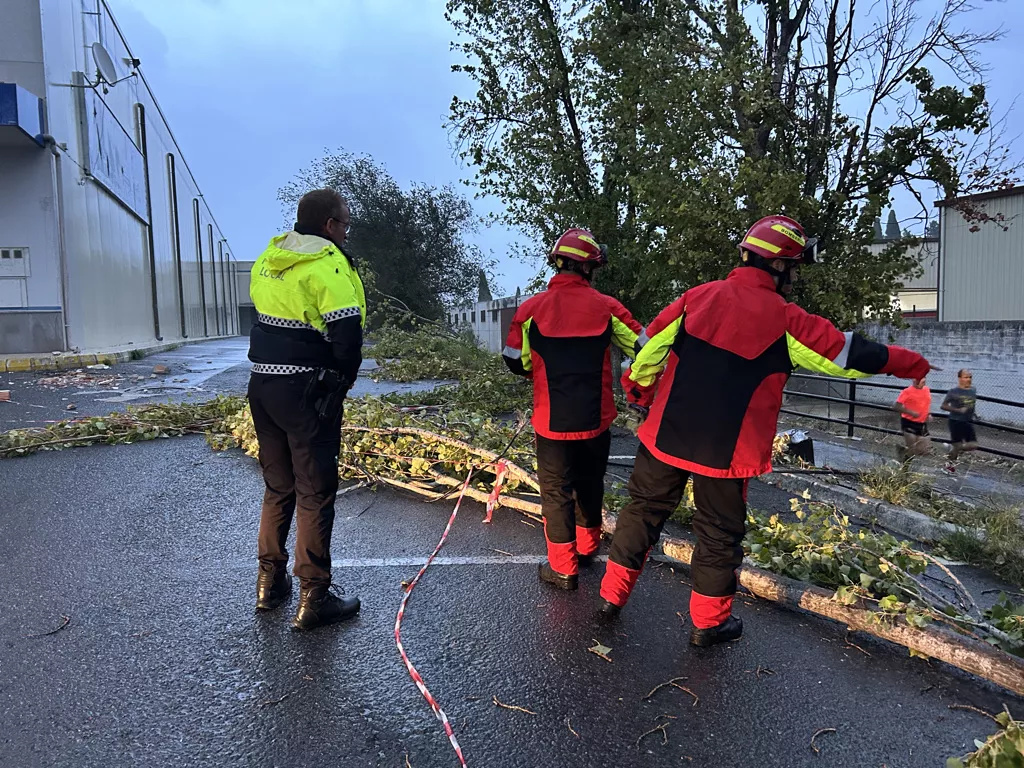 Incidencias del temporal de viento en Lucena Incidencias del temporal de viento en Lucena