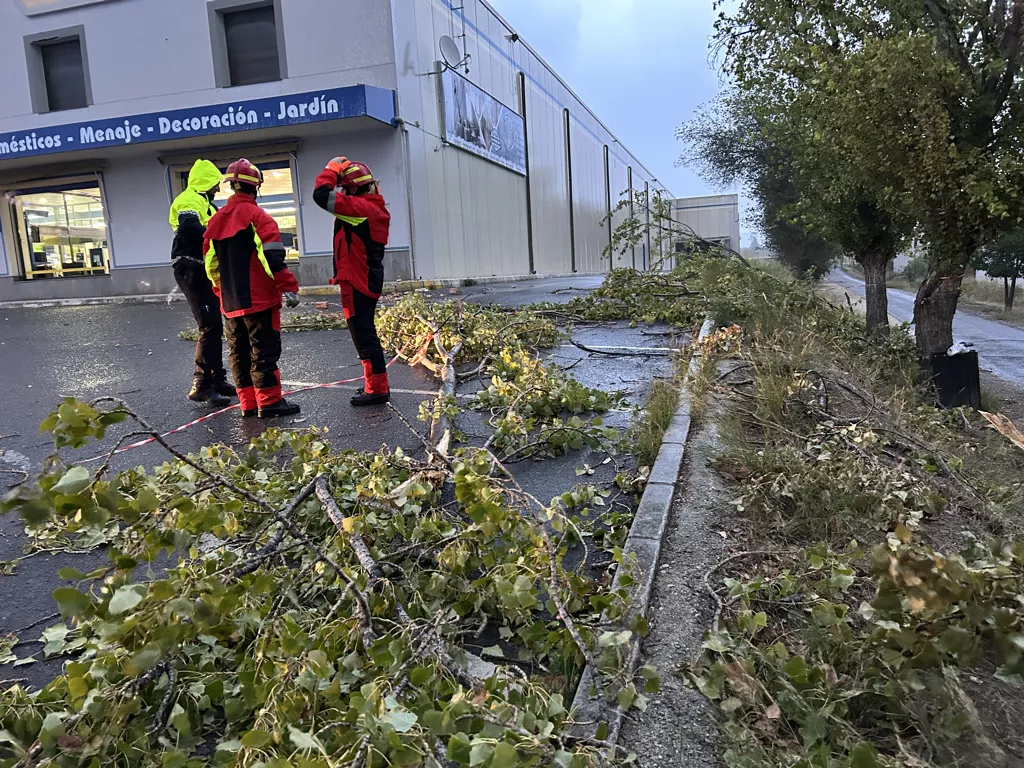 Incidencias del temporal de viento en Lucena Incidencias del temporal de viento en Lucena