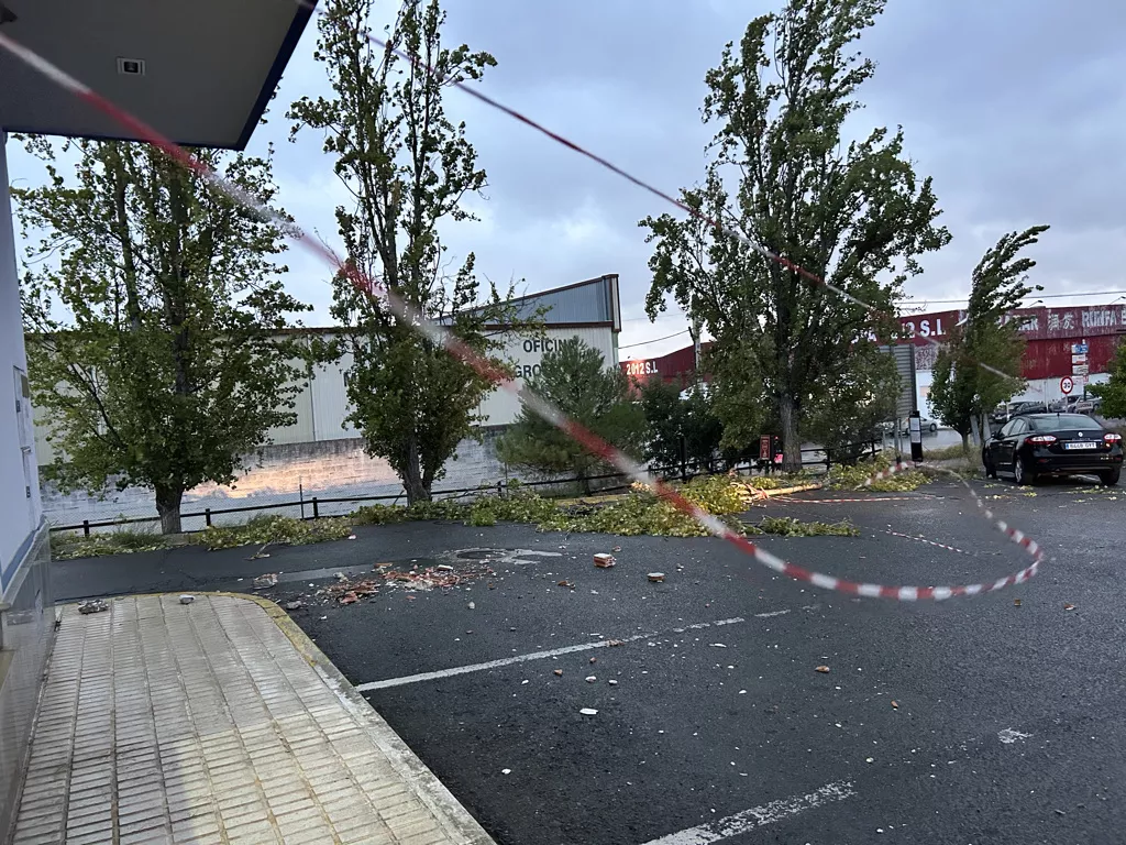 Incidencias del temporal de viento en Lucena Incidencias del temporal de viento en Lucena