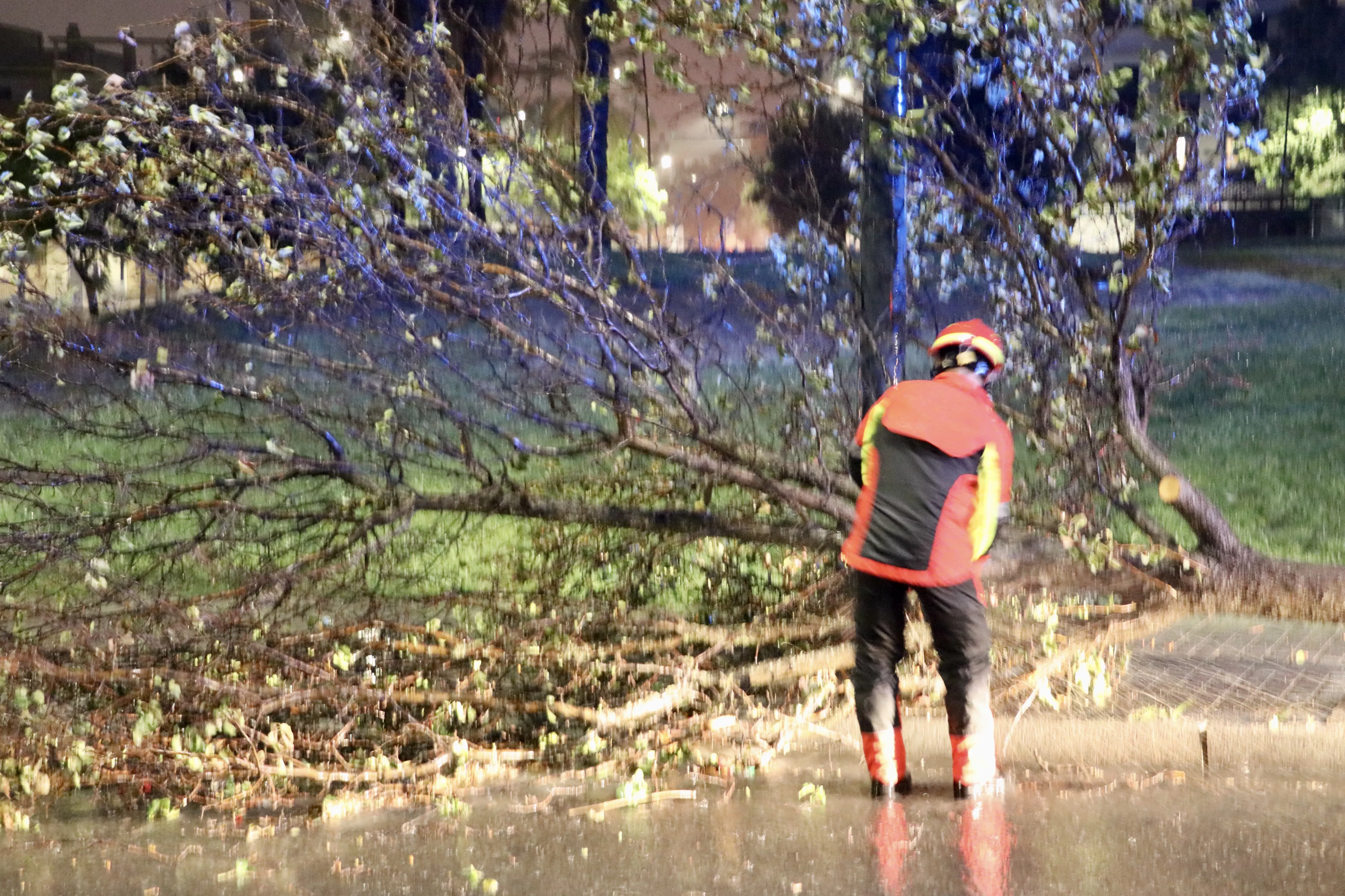 Incidencias del temporal de viento en Lucena el pasado jueves. Incidencias del temporal de viento en Lucena el pasado jueves.