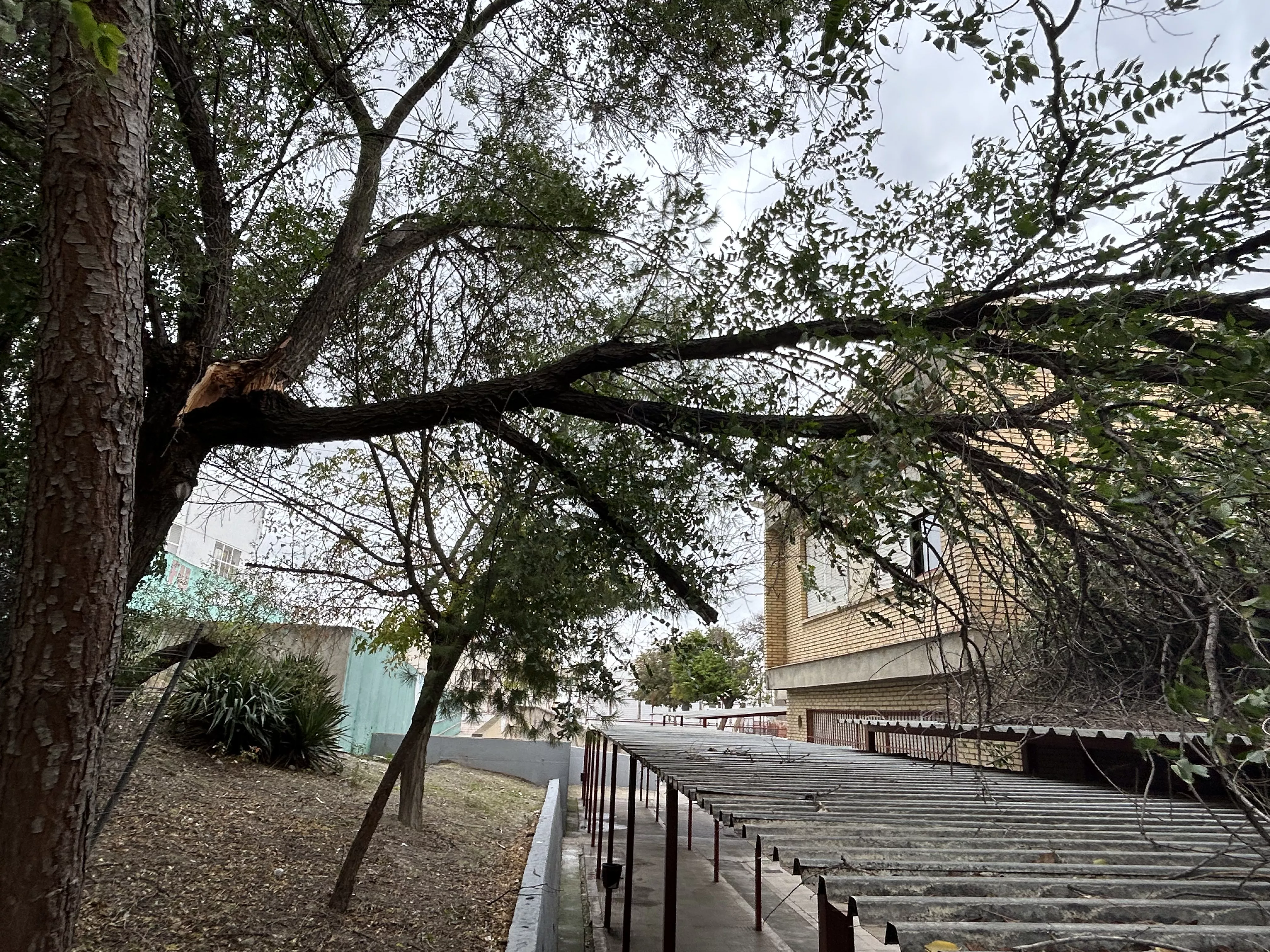 En el colegio El Carmen una rama ha caído sobre la estructura que protege la entrada a uno de los módulos escolares