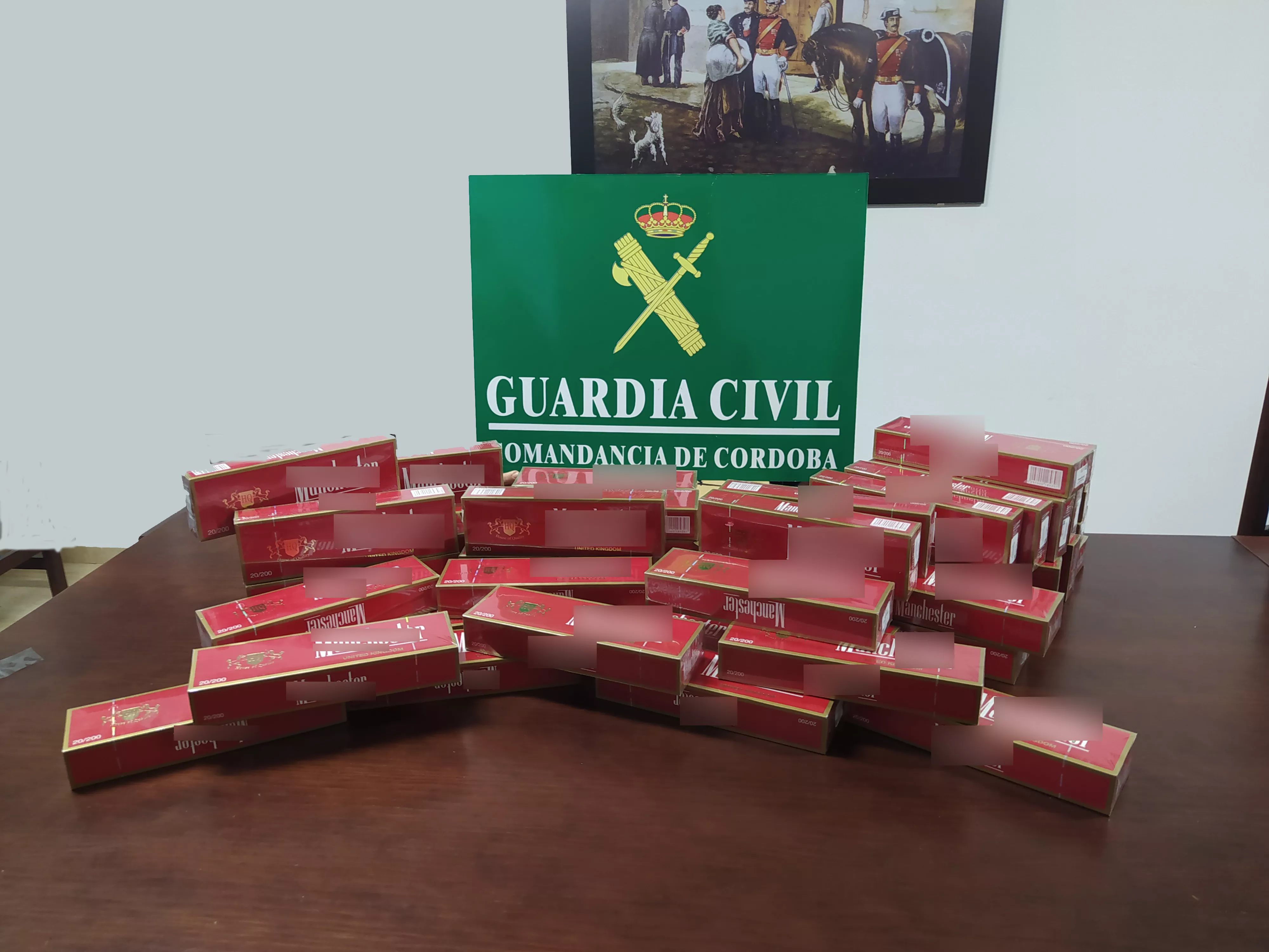 Material incautado por la Guardia Civil