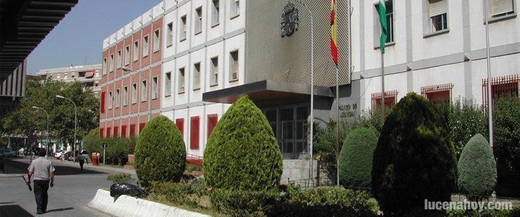  Comienza en Córdoba el juicio por el "crimen del olivar", en el que murió un vecino de Lucena 