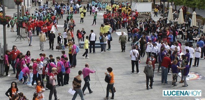  Medio millar de escolares de 17 centros educativos celebran hoy el Día del Libro (fotos) 