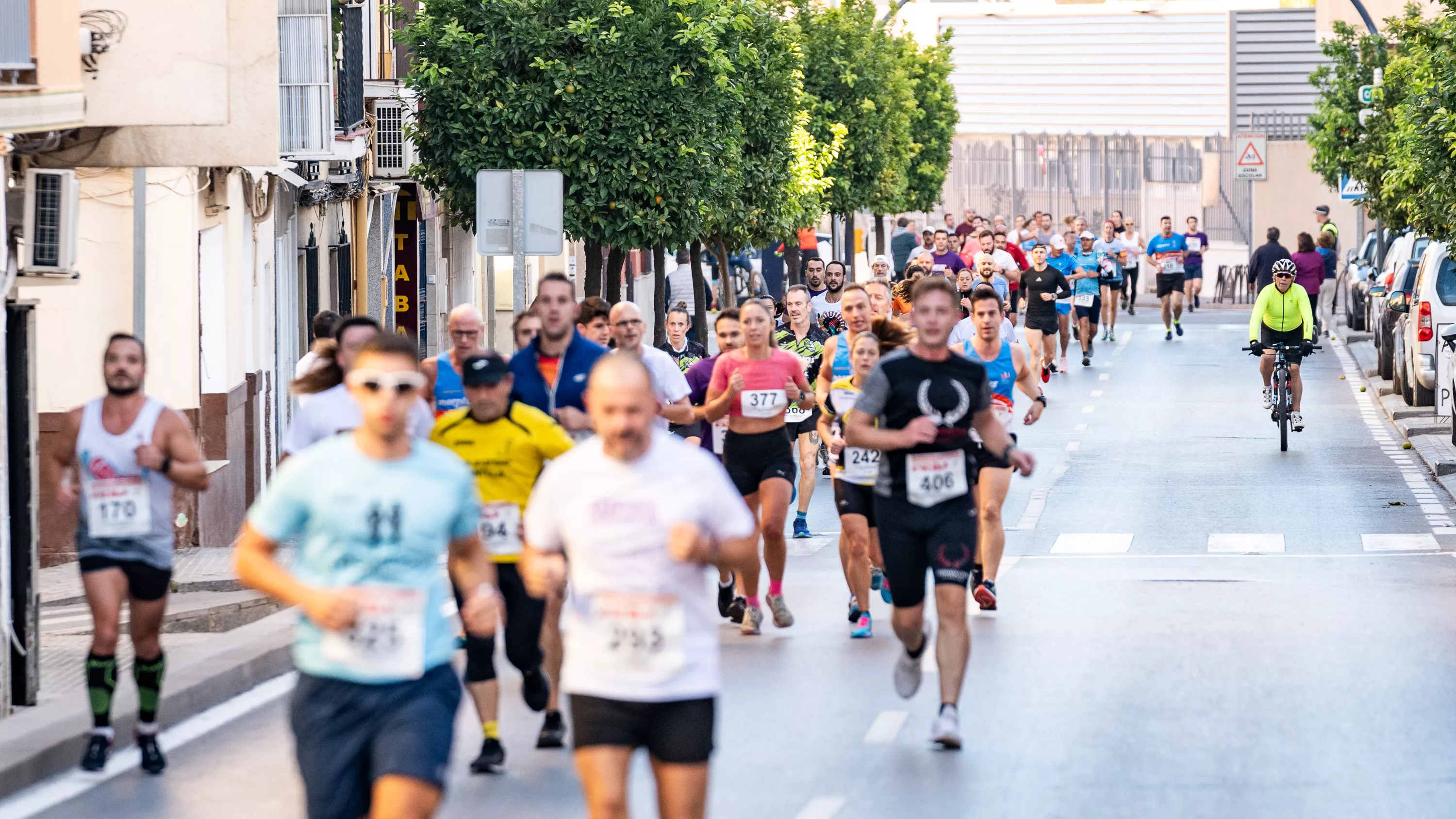 XXIV Carrera Popular Ciudad de Lucena. Salida. Foto: Jesús Cañete XXIV Carrera Popular Ciudad de Lucena. Salida. Foto: Jesús Cañete